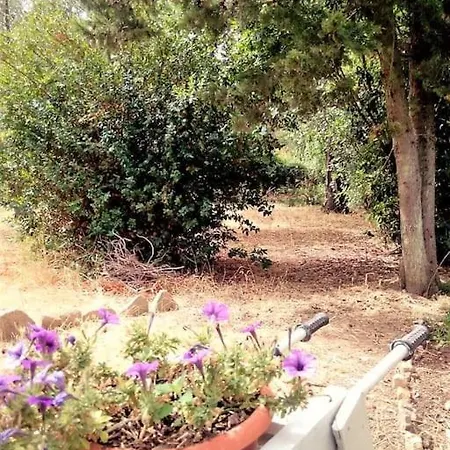 Relax Immersed Within The Sette Fratelli Mountains Villa San Gregorio (Sardinia)