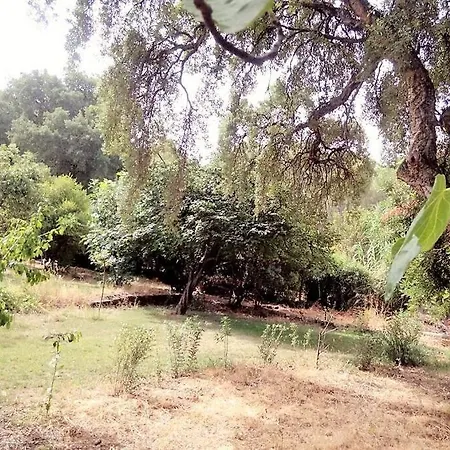Relax Immersed Within The Sette Fratelli Mountains * San Gregorio (Sardinia)